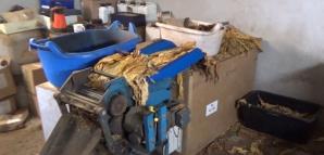 Zlikwidowane kolejne linie produkujące krajankę tytoniową