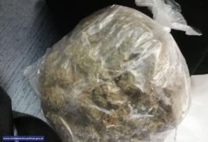 [VIDEO] Policjanci uderzyli w przestępczość narkotykową – przejęli 15 tys. porcji środków odurzających