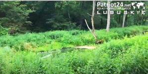 [VIDEO] Holender truje glebę, rzekę i powietrze używając od lat dziurawej, archaicznej pompy wodnej bez atestów!  Czując się bezkarnym dodatkowo stworzył nielegalne składowisko gumy! A Województwo Lubuskie bezradne!