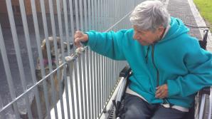 Fala hejtu zalała internet! Czy informacje na temat Schroniska Dla Zwierząt w Chełmku są prawdziwe? Sprawdźmy to!