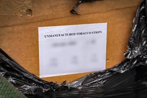 [VIDEO] Służby przejęły 32 tony tytoniu i 324 krzewy konopi