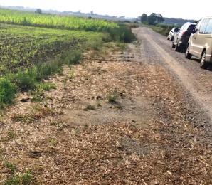 [VIDEO] Co stuka wewnątrz nie uruchomionego jeszcze wiatraka k. Ostrowa Wlkp.? Czy po 3 pożarach wiatraków w Wielkopolsce straż pożarna zaakceptuje inwestycję, która nie spełnia wymogów odległościowych od najbliższych zabudowań?