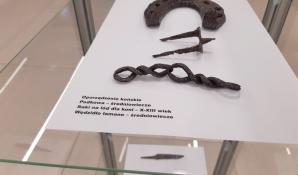 Puszcza Białowieska odkryła skarby! Przedstawiono wyniki inwentaryzacji archeologicznej!
