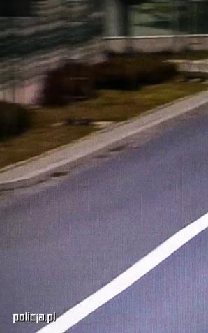 Zatrzymany po pościgu - obywatel Iraku, który na stałe mieszka w Szwecji,  przewoził nielegalnych imigrantów z Iraku