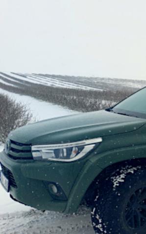 Na granicy polsko-białoruskiej zatrzymano obywateli Egiptu, Syrii, Iraku, Afganistanu i Turcji