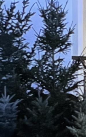 Słowo na 25 stycznia, niedzielę Słowa Bożego