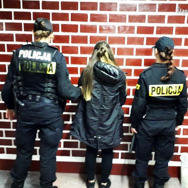 Katowice: 31 zatrzymanych podczas festiwalu techno