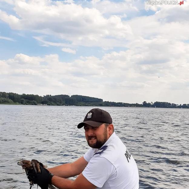 Policjanci uratowali tonącego drapieżnika