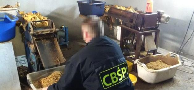 Zlikwidowane kolejne linie produkujące krajankę tytoniową