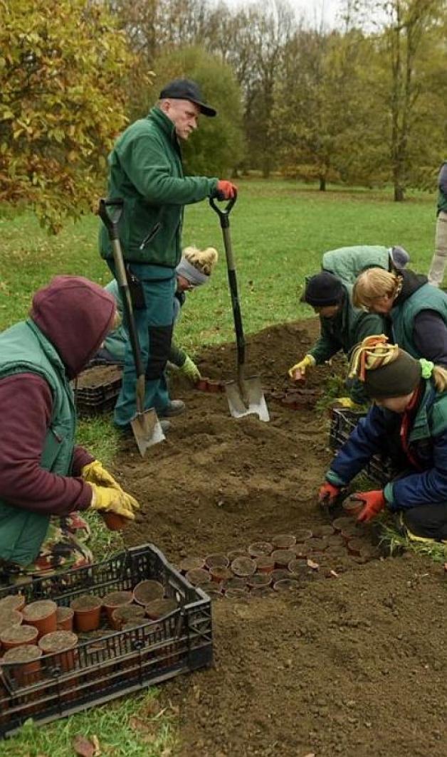 Podsumowanie sezonu 2019 w Ogrodzie Botanicznym w Łodzi