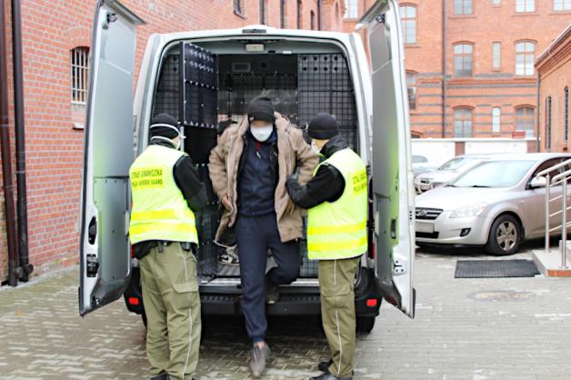 Imigranci z Afganistanu w transporcie świątecznych choinek nielegalnie przekroczyli granicę z Czech do Polski 